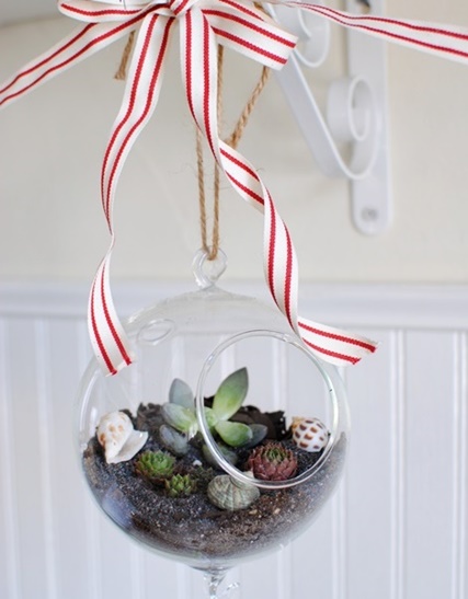 Hanging-Globe-Terrarium.jpg