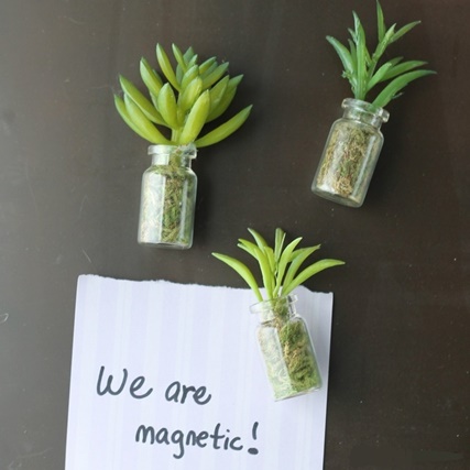 06-succulent-mason-jar-magnets-Country-Chic-Cottage.jpg
