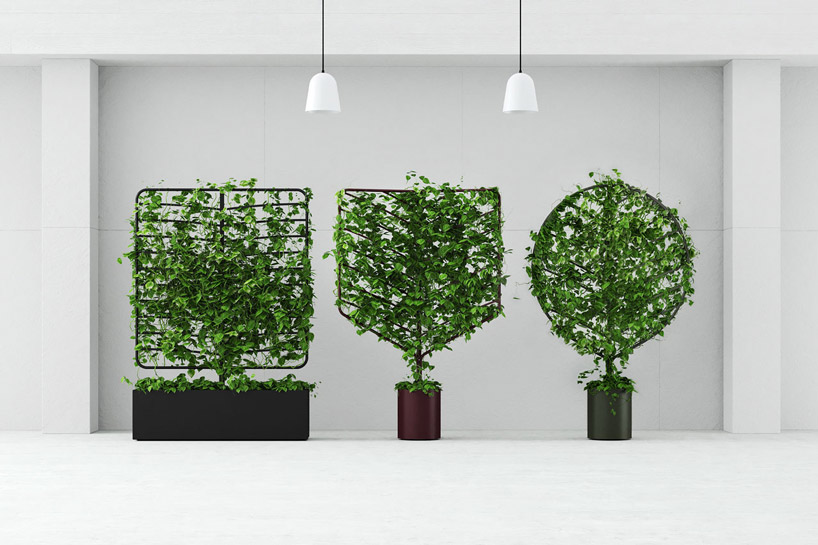 helen-kontouris-botanical-planter-screens-designboom-00.jpg